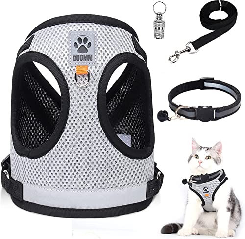 Harnais Chat Anti évasion Ensemble, Harnais et Laisses pour Chats, Colliers Harnais et Laisses pour Chats Collier Pendentif Anti-Loss Ensemble pour Chaton, Chiens, Chihuahua(Gris, S)