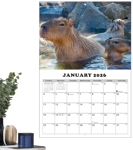Calendario De Pared Mensual 2026-2027 - Planificador Temático De Capibara Con Bloques Grandes Rayados | Calendario de Pared 13 Meses Enero 2026 con Fechas Julianas | Para Hogar Escuela Oficinas Aula S