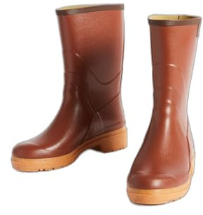 Aigle herr BisonRegnsko