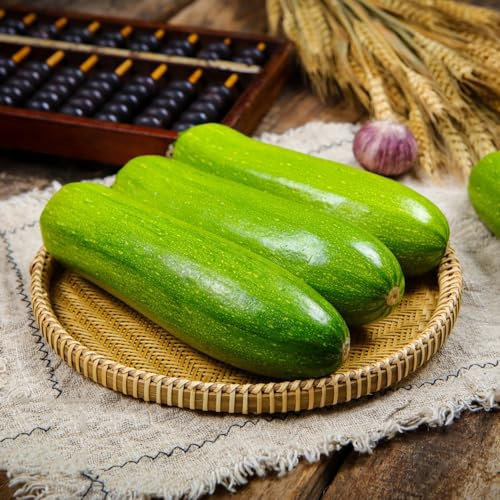 30 pcs zucchini bio samen - winterfeste pflanzen für balkon zuchini saat,zucchinisamen,Cucurbita pepo, pflanztöpfe dekopflanzen garden garten geschenke für männer kräutersamen winterharte