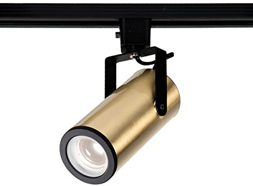 WAC Lighting J-2010-930-BR Silo LED2010 X10 Head J Or J2 Track, Brushed Brass