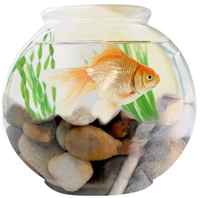 Guijarros decorativos, 1 kg, pulido natural, guijarros lisos para jardín, acuario, suculentas, relleno de jarrones, paisajismo simple, decoración de terrario, planta casera