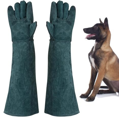 Gants Anti-morsure, Créer Confiance Et Protéger Vos Mains Gants De Toilettage Pour Chats | Fournitures De Maison Pour Cheminée, Cuisinière, Four, Grill, Soudage, Barbecue, Mig, Manique, Manipulation