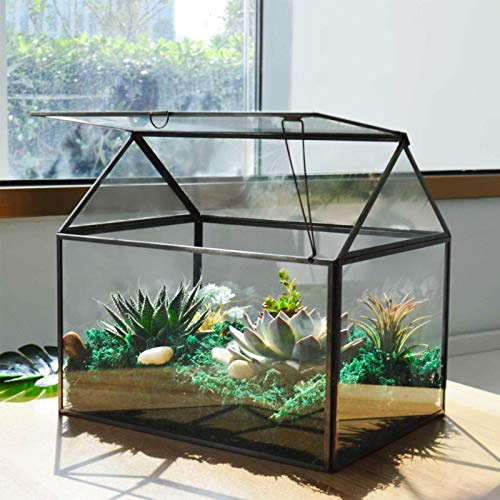 Grande terrario in vetro per piante grasse, kit per piante grasse con labbro in vetro, serra per piante (nero 1)