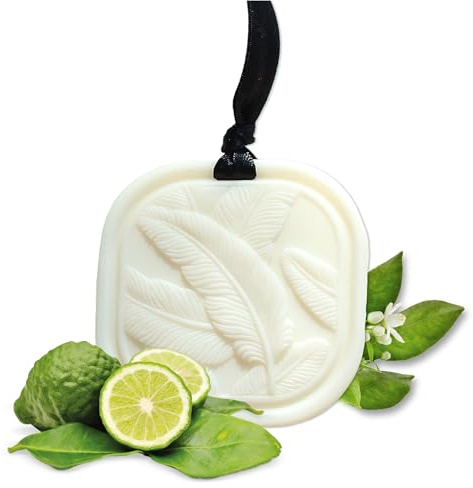 Festes Duftwachs-Sachet – Kleiderschrank Duft Bergamot & Cashmere | Lang anhaltender Lufterfrischer für Schrank, Schublade & Zuhause | Natürliches Rapswachs – 34g