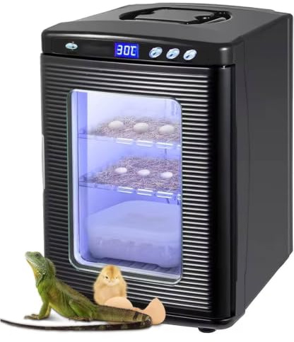 25l Reptilinkubator Med Digital Termostat, Kyl- Och Värmeinkubator För ägg För Vetenskapligt Laboratorium, 5°c-60°c Temperaturkontroll, Led-belysning, Automatisk Black