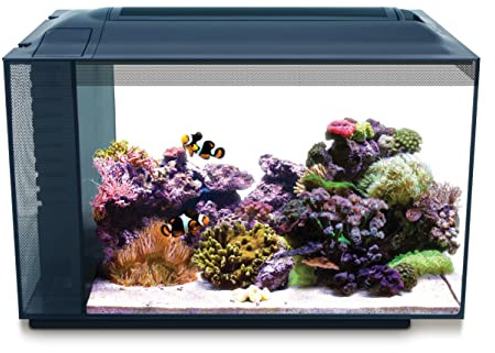 Fluval Evo Acuario Marino, Negro, 52 L