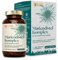Nature Basics® Gélules de Chardon-Marie hautement dosées en pot | 180 gélules avec 80% de silymarine & 2,5% de cynarine | 250mg d'extrait de chardon-marie par dose journalière | CO2 neutre