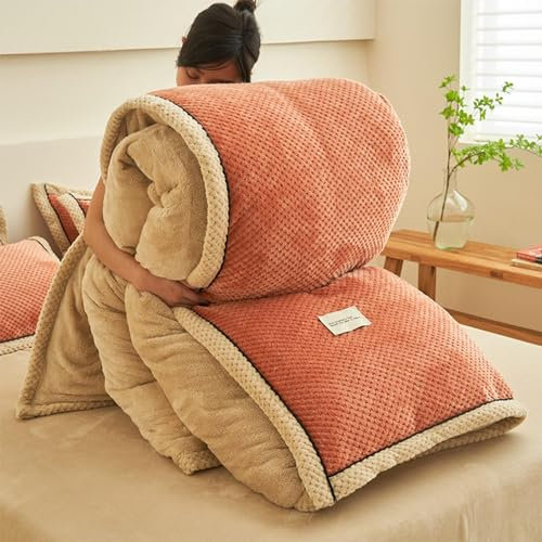 Winterbettdecke, Dickes Lammkaschmir Decke, Flauschige Kaschmirdecken, Mikrofaser Winterdecke, Beidseitig Extra warme Steppdecke, Lammsamtkern, Dick warm Plüsch-Winterdecke,C,150*200cm 4.2KG