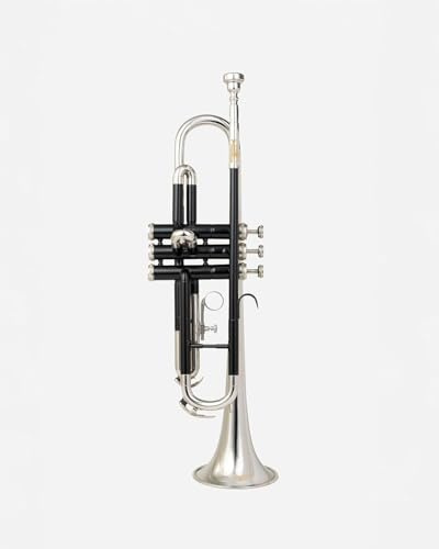 QUEENBRASS Bb Trumpet for Students & Adults – Silver & Black Lacquer Finish | Brass Wind Instrument with Mouthpiece & Hard Case for Learning & Band Practice