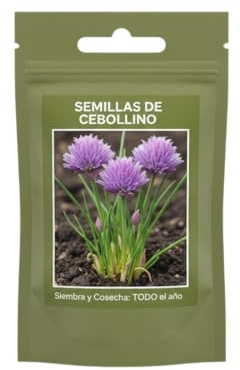 Semillas de Cebollino para Balcón y Terraza DECOALIVE