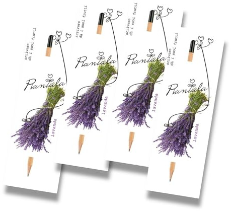 Generico SEMI LAVANDA