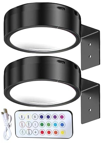 Zyntora Lumières pour Tableaux Murale - Lot de 2 Lampes de Tableau Rechargeables USB - Eclairage Magnetique Sans Fil Avec Lumiere D'ambiance Pour Chambre Couloir Galerie Interieur