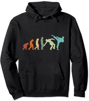 Karate Taekwondo Aikido Ju-Jutsu Kung-Fu Evolution Karate Pullover Hoodie