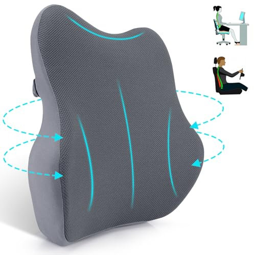 Farerkass Coussin Lombaire Ergonomique, Coussin Dos en Mousse à Mémoire, Soutien Lombaire avec Mesh pour Sièges de Voiture, Chaise de Bureau, Fauteuil Roulant, Chaises de Maison(Gris Clair)