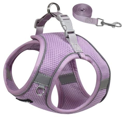 AIITLE Hundegeschirr für kleine Hunde, Anti-Zug-Katzengeschirr mit Leine, verstellbares Step-in-Welpengeschirr, Haustierweste für draußen, für besonders kleine Hunde und Hauskatzen, Lila, XXS