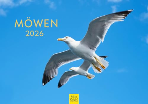 Edition Seidel Premium kalender måsar 2026 format DIN A4 väggkalender djurkalender fågel fåglar vattenfåglar vilda fåglar