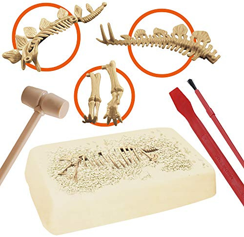 EXPLORA - Estegosaurio - Kit de Paleontólogo - 039397 - Yeso para Excavar - Dinosaurios - Kit de Descubrimiento - Juego para Niños - Científico - Educativo - Aventura - Juguete - A Partir de 5 años