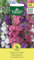 AGRONOM | Delphinium - AJACIS | Semi di fiori | Fiori annuali, alti 45 cm, con infiorescenze distintive, spesso semi-ramificate | Semi di piante | Semi da giardino | 1 confezione