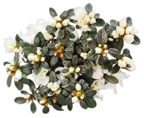DECOALIVE Azalea Natural con Flores Blancas – Ideal para Hogar y Oficina