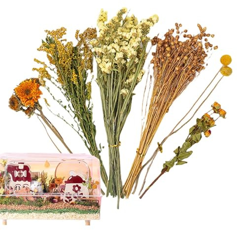 Hamster hö blomrabatt, djurblommor, livsmiljö för inhägnad, naturlig hamster sängkläder, blommor för dvärggerbilar, blommor
