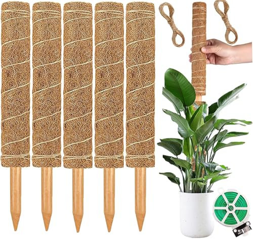 Support de plante de 30 cm de long en tiges de mousse, support Monstera, bâton de mousse pour plantes grimpantes, tige en mousse de coco pour plantes en pot, tiges d'escalade empilables pour plantes