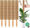 Supporto per Piante in Muschio da 30 cm, 5 Pezzi Supporto per Piante Monstera Palo di Muschio in Fibra di Cocco Bastoncini Rampicanti Impilabili per Piante Rampicanti da Interno, Edera Pothos