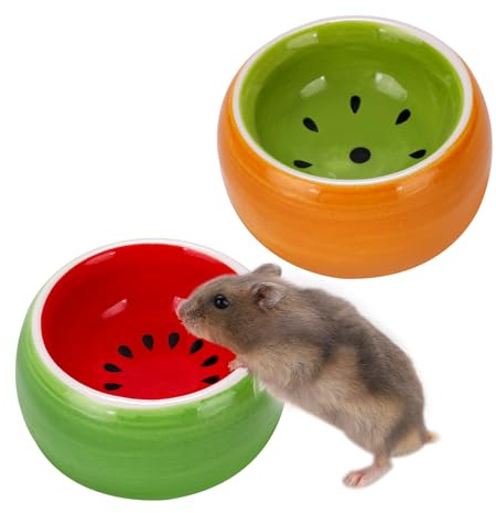 VanEnjoy 2 Pack Ceramic Guinea Pig Food Bowl Tip-Proof Small Pet Feeder for Hamster Bunny Chinchilla Cute Hedgehog Serving Dish for Cage