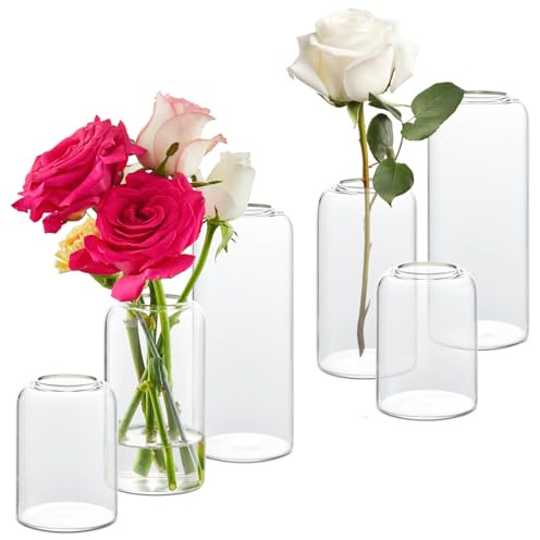 KAMJUNTAR 6 st Glasvaser Transparenta blomvaser Budvaser Glasvaser Cylinder Vaser Set Bordsdekoration för Bröllop, Fest, Bordsdekoration