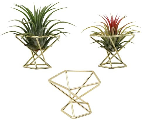 3 Stück Geometrische Luft Pflanze Halter Luftpflanzenhalter Pflanzenständer