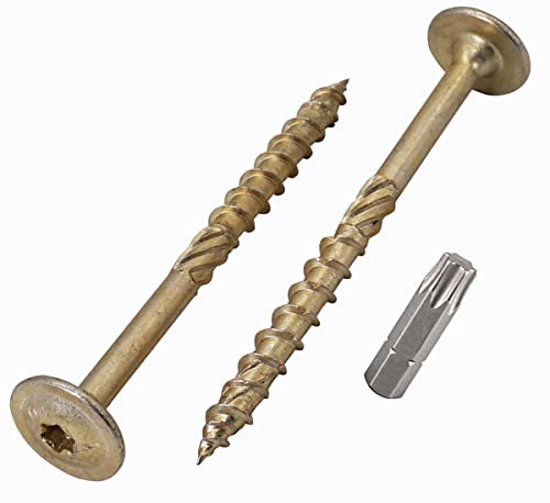 Paquete de 20 tornillos de acero galvanizado de 8,0 x 100 mm, cabeza torx, cabeza de oblea, tornillos de madera, rosca parcialmente (20, 8 x 100 mm)