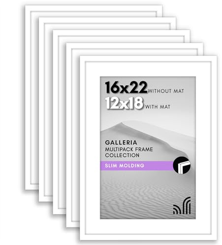 Americanflat 40 x 55 bildram uppsättning med 12,7 cm vit – använd som 12 x 18 affischram med matta eller 16 x 22 ram utan matta – bildramar collage väggdekor med plexiglasskydd – galleri väggram set