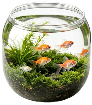 Liten fisksfärisk burk - dekorativ transparent okrossbar, fiskburkar för bordscenterdekoration, perfekt för , skola, klassrum, sovsal, restaurang, bar, vardagsrum d