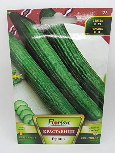Gergana - Cucumber Seeds Dark Green Fruit Bulgarian Variety Cucumbers - 2 gram of Seeds, Approximately 60 Seeds - 94% Germination