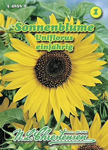 N.L. Chrestensen 546569 Sonnenblume uniflorus (Sonnenblumensamen)