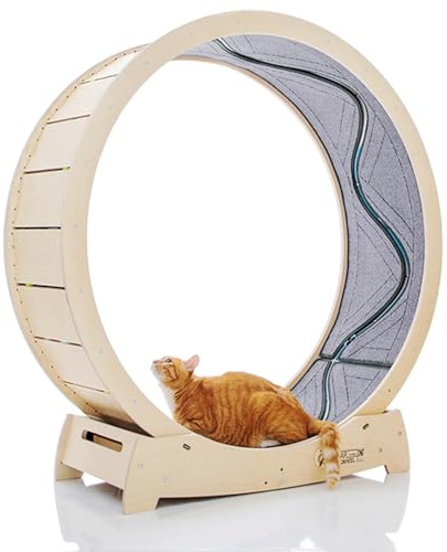STAR CATWHEEL Cinta de correr para gatos, rueda de ejercicio para correr, girar, madera de abedul de primera calidad, ecológica, peces en movimiento, pista ancha para correr, tamaño L de 41,7 pulgadas