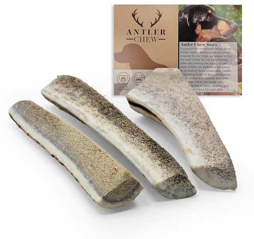 Antler Chew - Eeasy Chew Split Deer Antlers for Dog (Pack of 3, From 8 cm, 20-32g), Pizza Shape, Exposed Marrow Natural Dog Chew Treat & Toy, Safe for All Dogs & Puppies, Naturally Shed, Long-Lasting