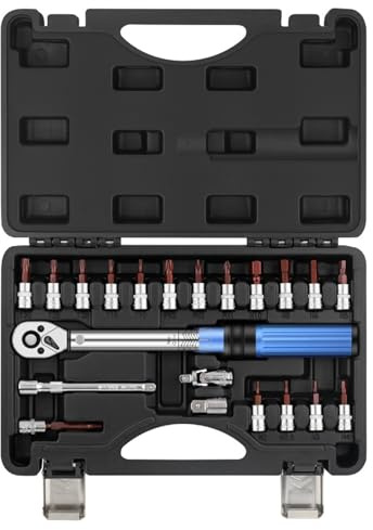 RASTKY Set di Strumenti di Riparazione Professionali 21 Pezzi Chiave Dinamometrica Regolabile per la Manutenzione della Bicicletta con Cassetta degli Attrezzi - per Ciclisti e Meccanici - e Materiale