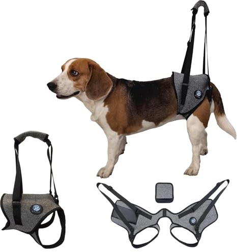 KAJILE Imbracatura di Sollevamento per Cani,Imbracatura di Supporto per I'arto Posteriore,Addestramento di Recupero per Animali Domestici,Cinghia di Sollevamento per Cani Anziani Disabili(Grigio M)
