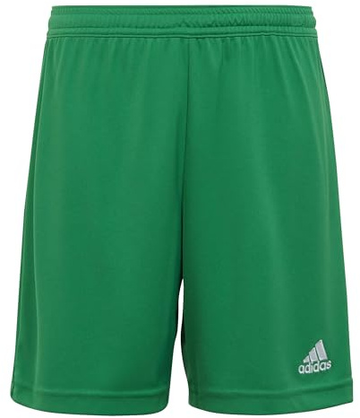 adidas Unisex – Barn Entrada 22 Shorts, Team Green, 13-14 Years