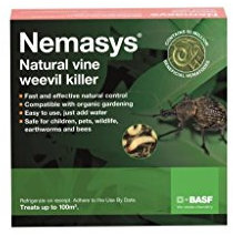 Nemasys Vine Weevil Killer 100sqm