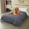 DASIAUTOEM wasserdichte Hundedecke, Outdoor Hundedecke, Auslaufsichere Schutzdecke, Beidseitig verfügbar und weich Hundematte, chutz von Bettmatratze, Sofa, Couch vor Flecken, 132 * 208cm Grau