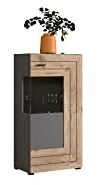 xonox.home Wohnzimmer Freno Vitrine Schrank Glas Vitrine Deko-Vitrine Stauraumvitrine in grau Nb.Absetzung Nox Oak Nb.ca.60x118x37 cm