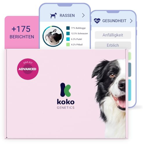 Koko Genetics - DNA-Test für Hunde Advanced (+175 Berichte über Rassen, Gesundheit und Eigenschaften) - Upgrades kostenlos