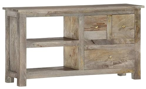 vidaXL Tv-bänk 100x30x55 cm massivt mangoträ