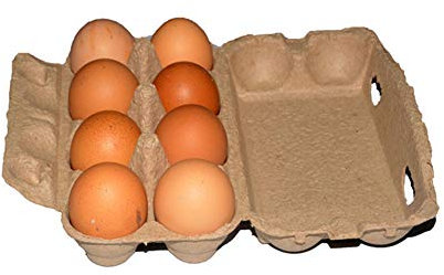 Confezione da 8 scatole per uova in cartone, per uova e uova, per conservare uova fresche, biodegradabili, ecologiche, sicure e sicure