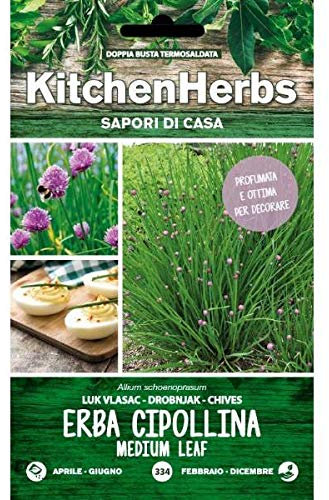 Semi Dotto Erba Cipollina