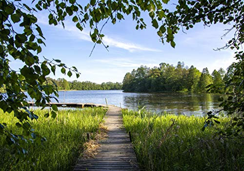 wandmotiv24 Fototapete See Weg Wald, XL 350 x 245 cm - 7 Teile, Wanddeko, Wandbild, Wandtapete, Bäume Teich Schilf M6472