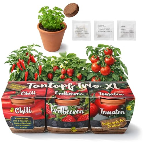 com-four® 3 vasi in terracotta con semi e terriccio, mini serra