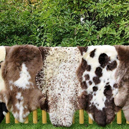 Lammfell ENGLISCH Gescheckt 90-100 cm echtes Merino Schaffell kuschelig weich Teppich von deutschen Schäfereien Naturform Dekofell Premium Schaffell Läufer Sitzunterlage